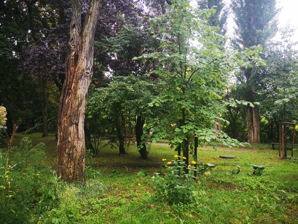 Apartament Wroblewski Διαμέρισμα Γκντανσκ Εξωτερικό φωτογραφία